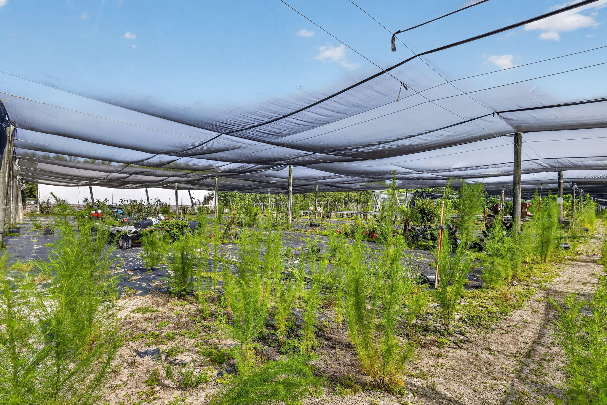 PALM BEACH FARMS CO 1 - Land