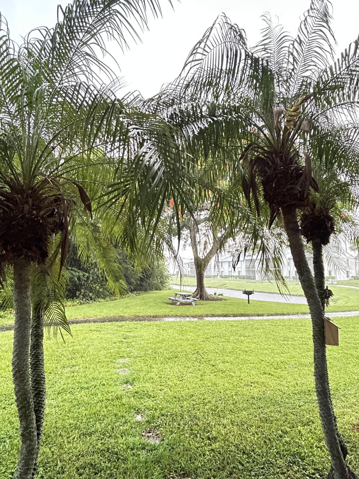 PALM CLUB VILLAGE I CONDO - Residential