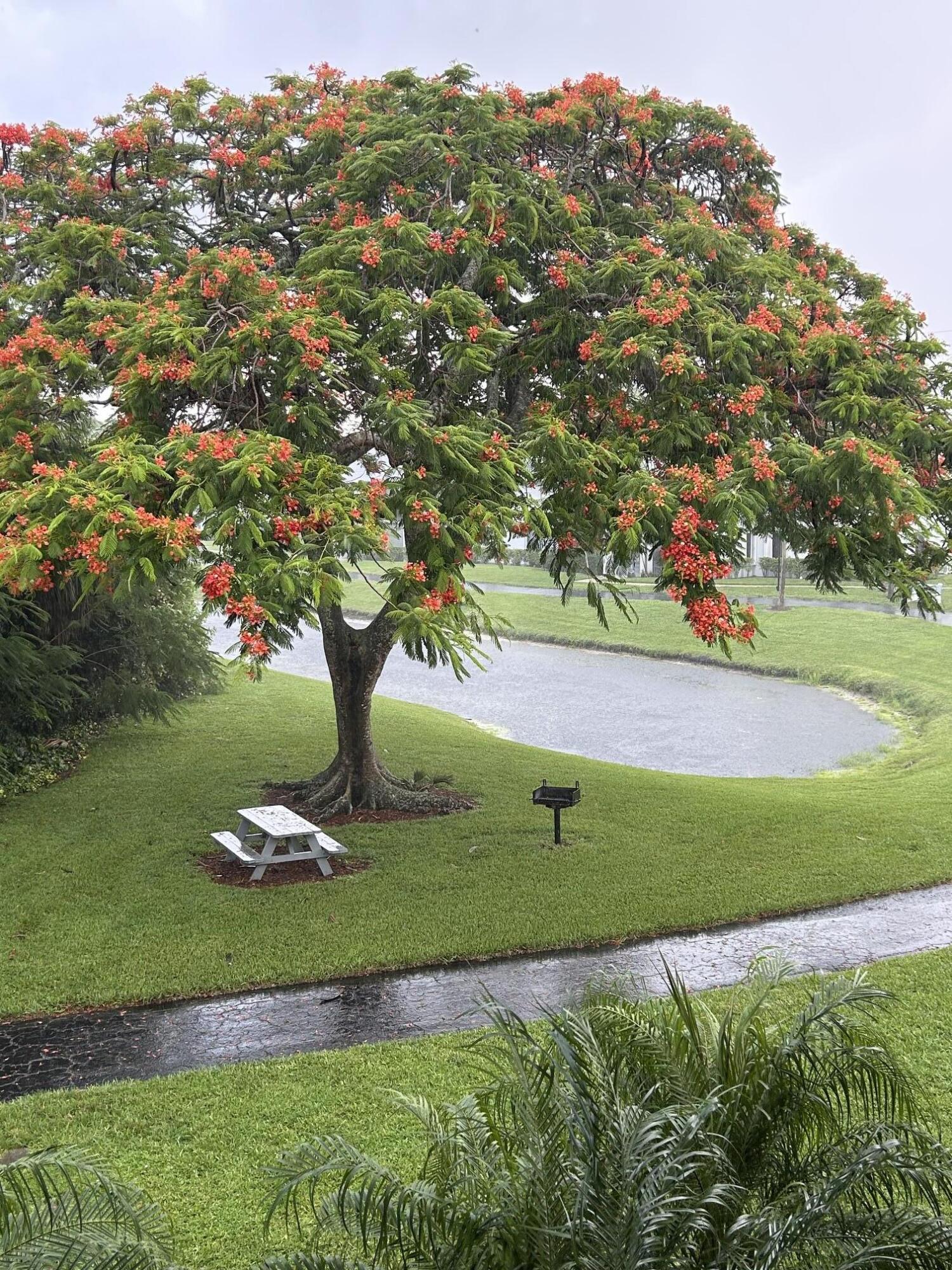 PALM CLUB VILLAGE I CONDO - Residential