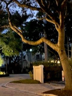 Old Palm Grove - Residential