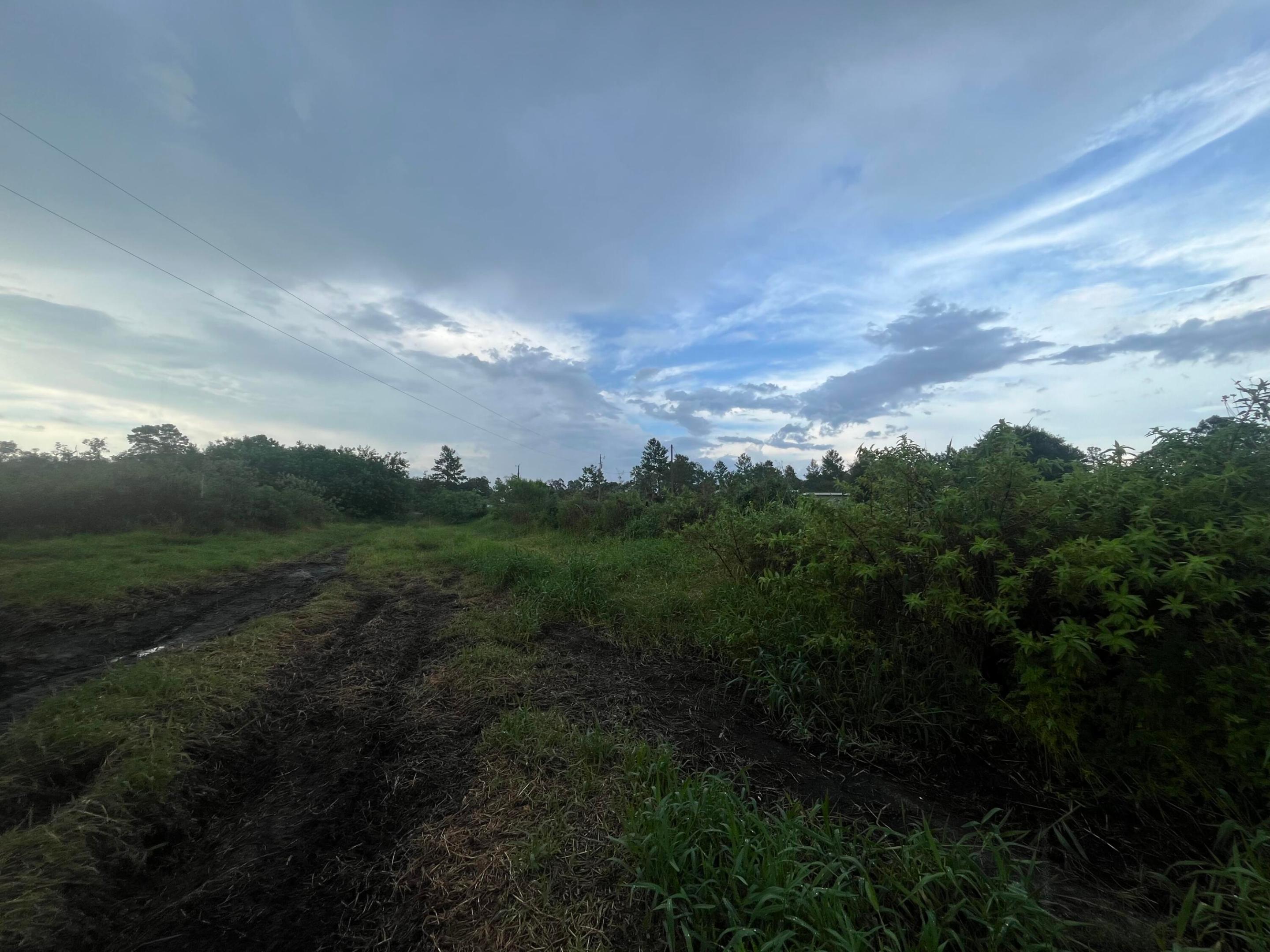 CENTRAL ACRES SECTION 1 - Land
