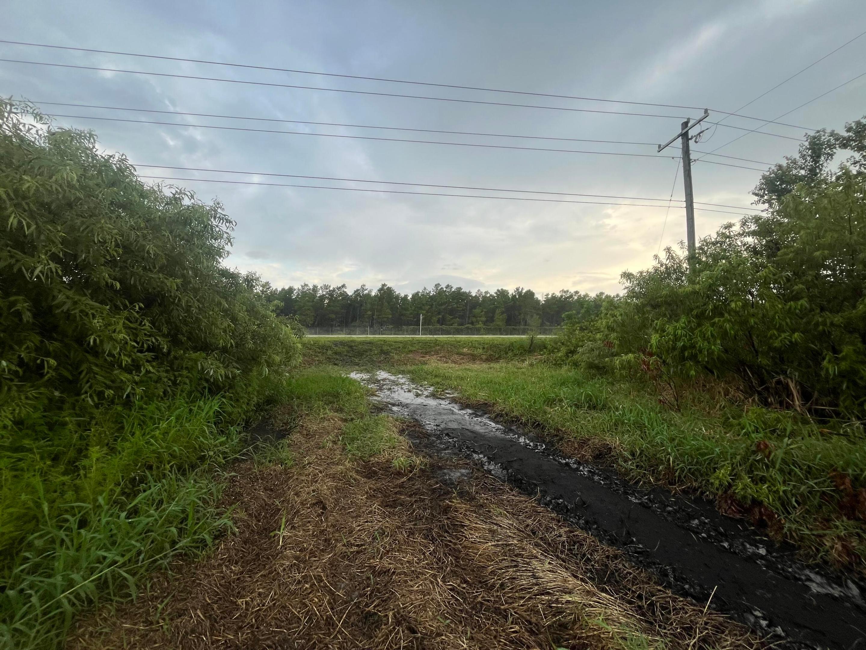 CENTRAL ACRES SECTION 1 - Land