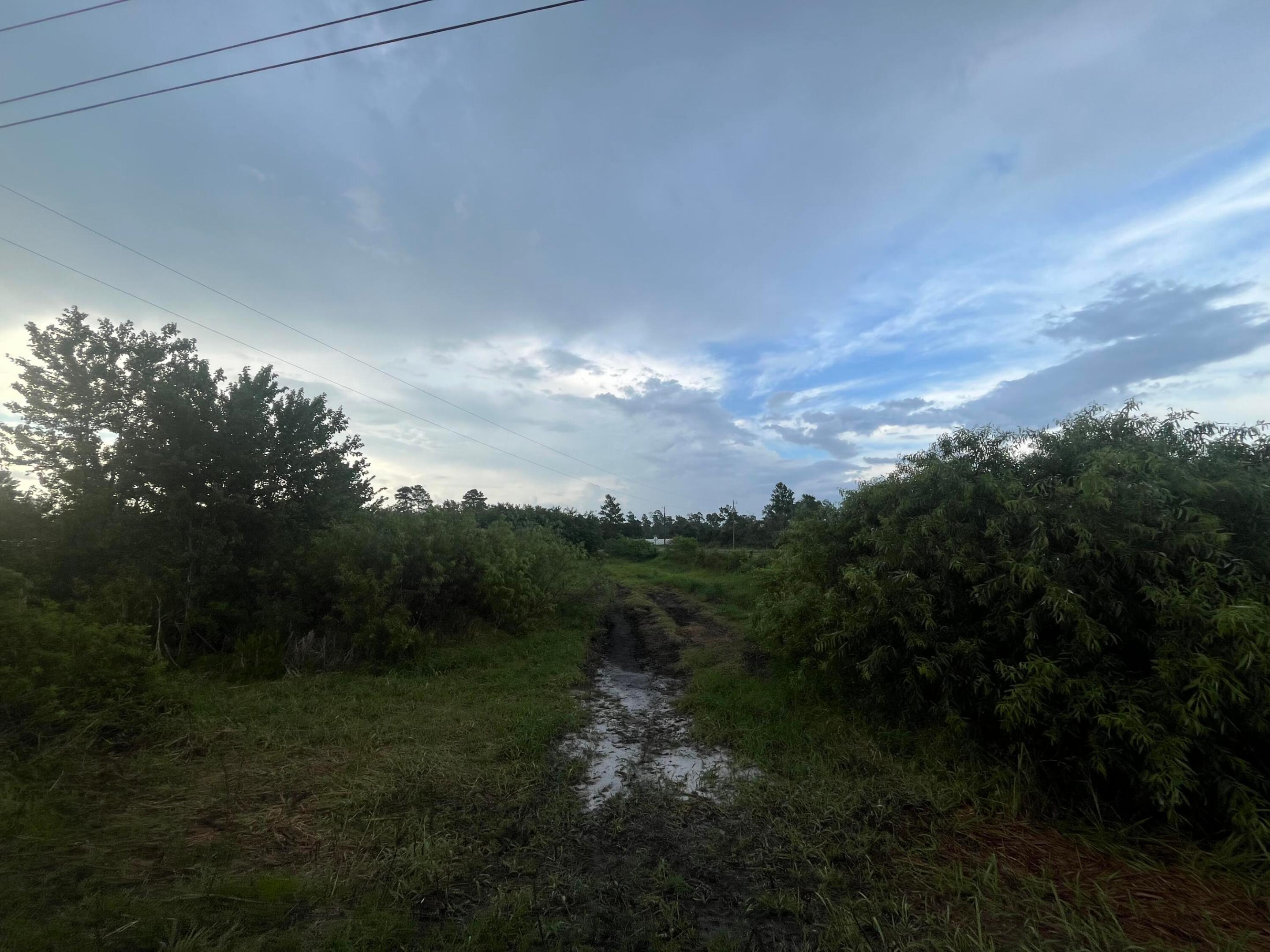 CENTRAL ACRES SECTION 1 - Land