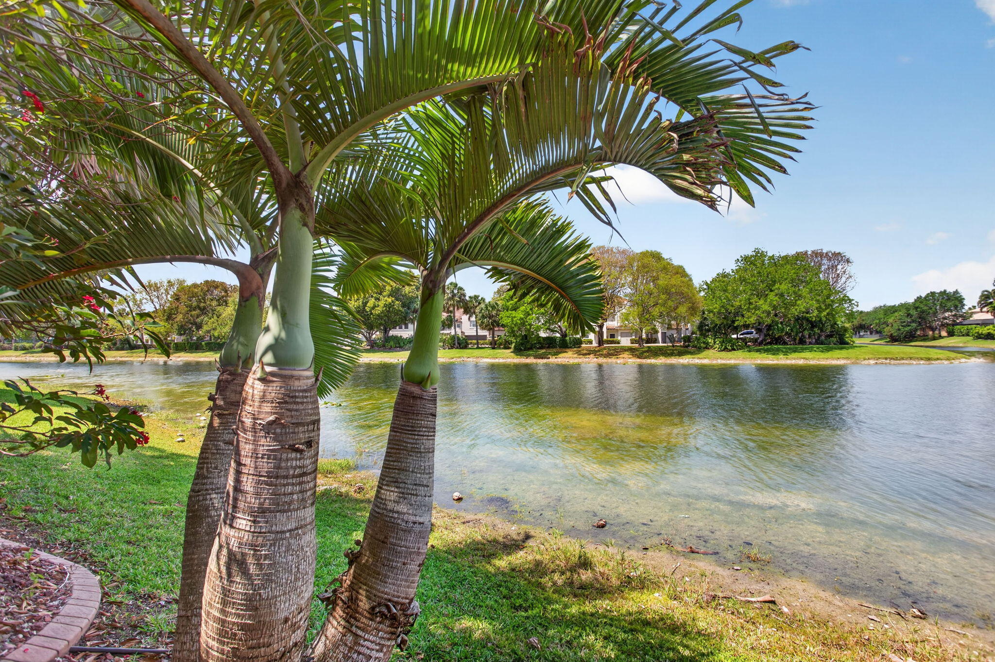 PARKLAND ISLES - Residential