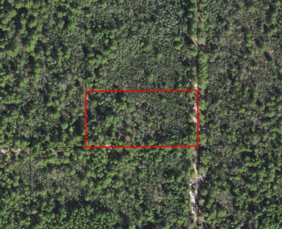Beautiful wooded lot in Central Lake Estates. Easy dirt road access makes this acre plus property an ideal camping/hunting/future homesite property for your family for generations to come.Owner financing with only $1500 down