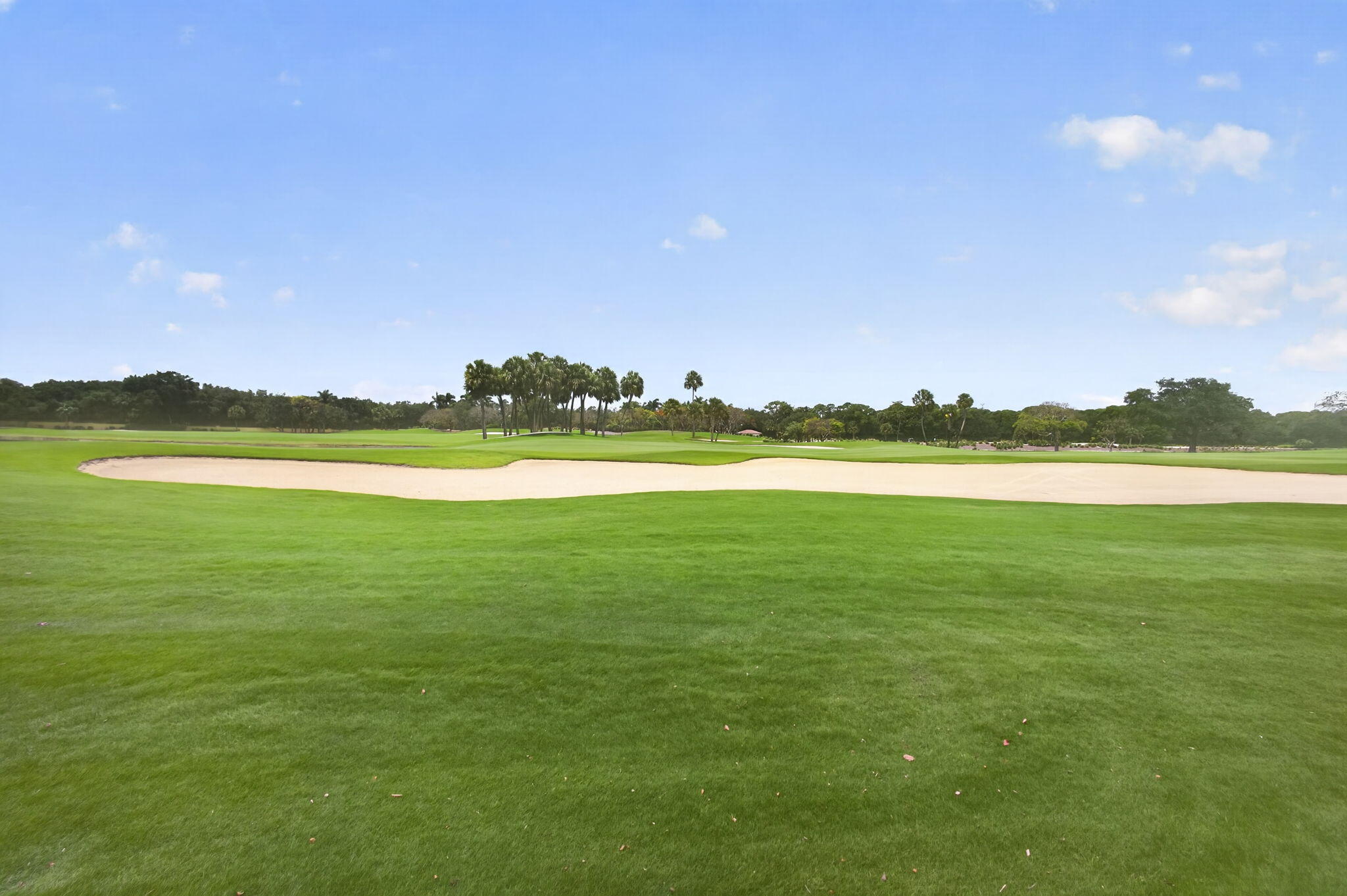OLD PALM 2 - Residential