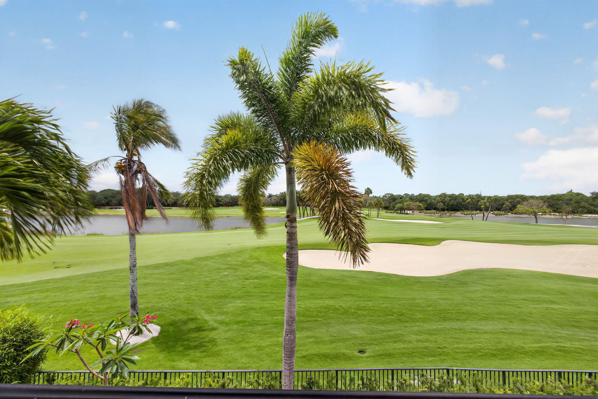OLD PALM 2 - Residential