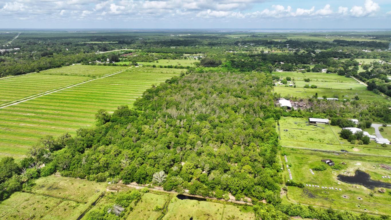 FELLSMERE FARMS CO S/D OF UNSURVEYED TWP 31 RNG 37 - Land