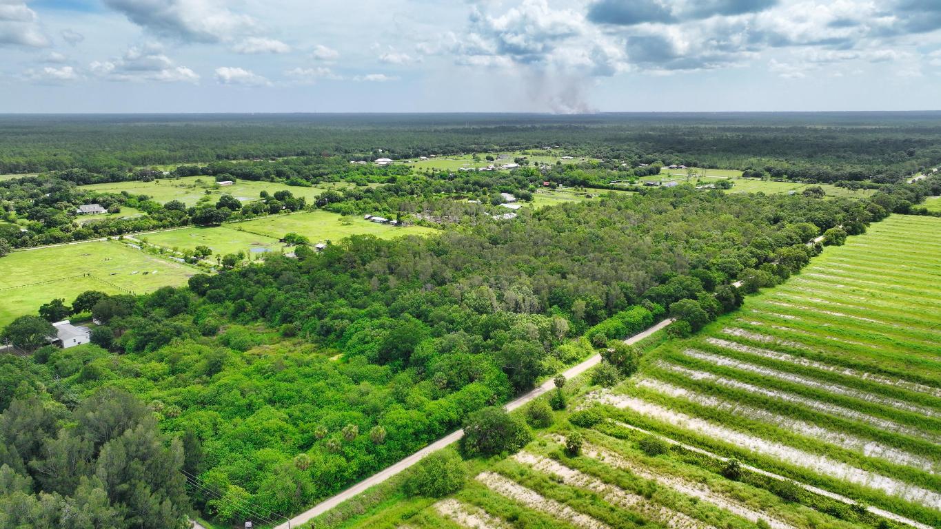 FELLSMERE FARMS CO S/D OF UNSURVEYED TWP 31 RNG 37 - Land