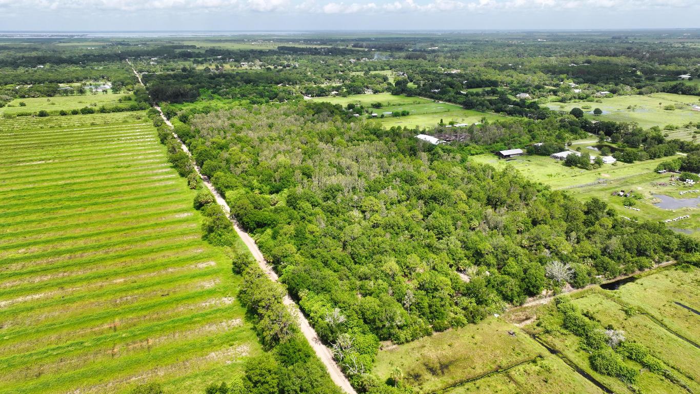 FELLSMERE FARMS CO S/D OF UNSURVEYED TWP 31 RNG 37 - Land