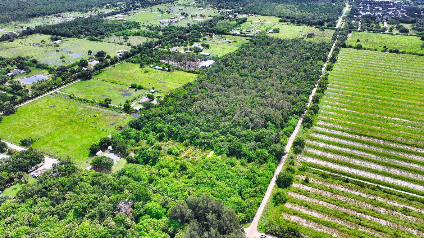 FELLSMERE FARMS CO S/D OF UNSURVEYED TWP 31 RNG 37 - Land