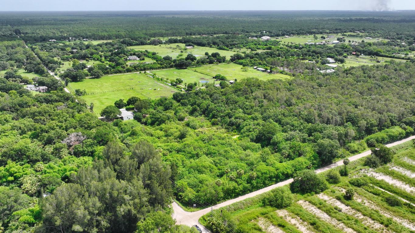 FELLSMERE FARMS CO S/D OF UNSURVEYED TWP 31 RNG 37 - Land