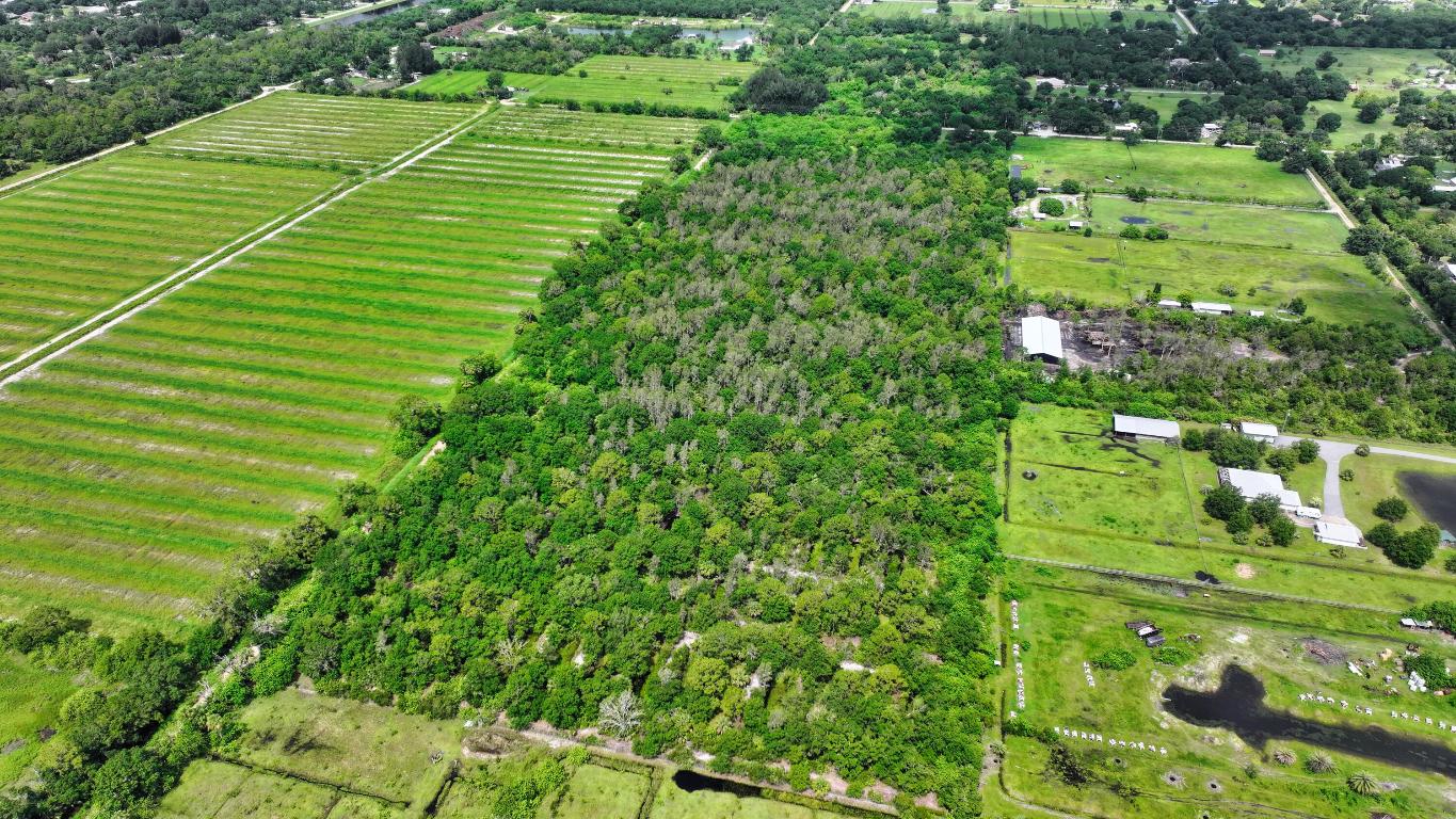 FELLSMERE FARMS CO S/D OF UNSURVEYED TWP 31 RNG 37 - Land