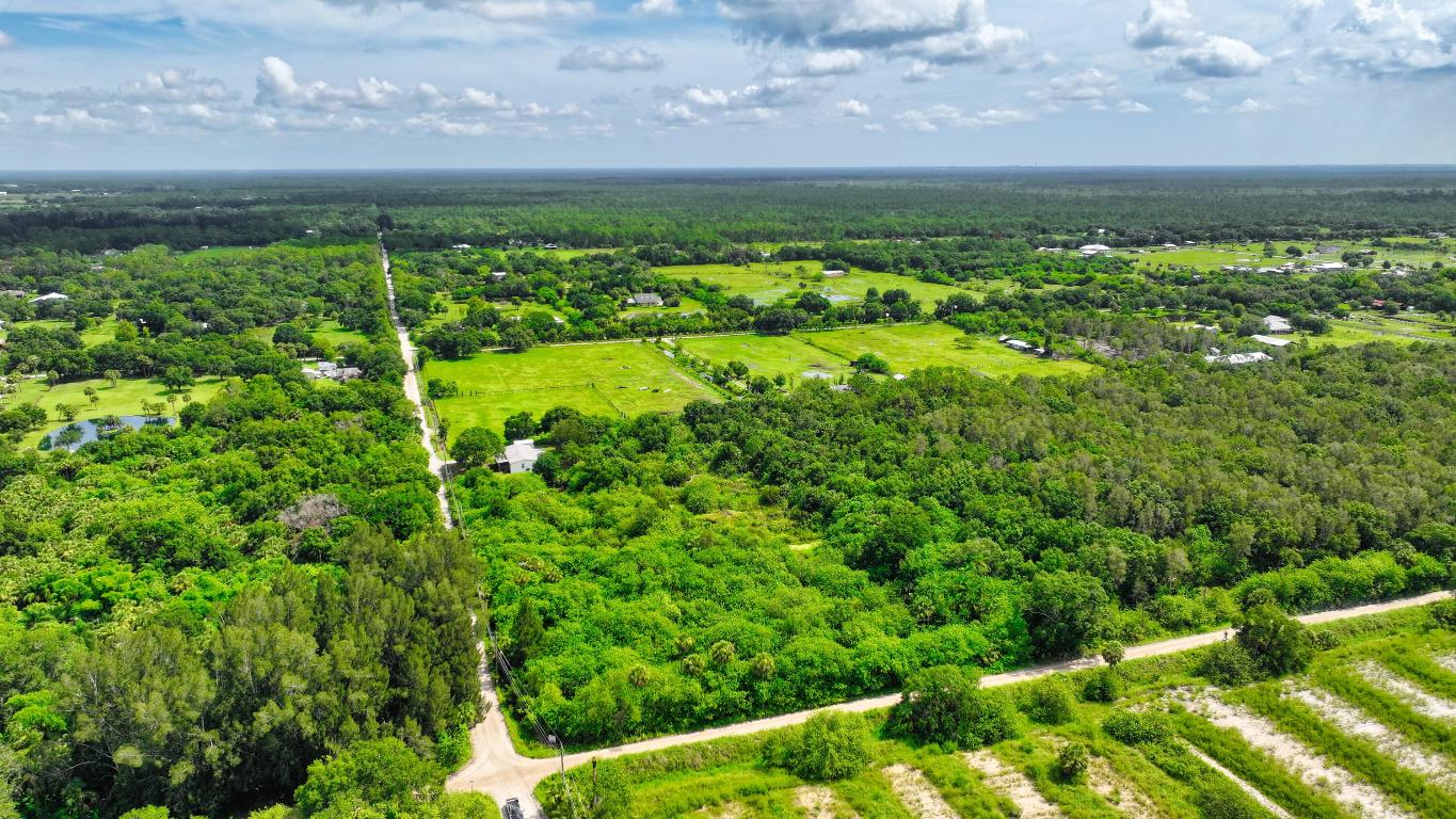 FELLSMERE FARMS CO S/D OF UNSURVEYED TWP 31 RNG 37 - Land