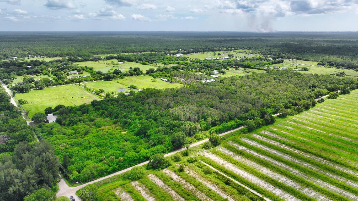FELLSMERE FARMS CO S/D OF UNSURVEYED TWP 31 RNG 37 - Land