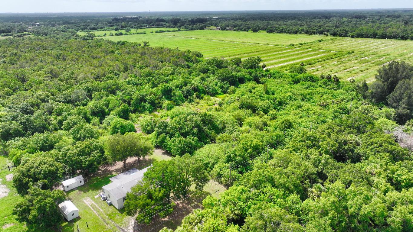 FELLSMERE FARMS CO S/D OF UNSURVEYED TWP 31 RNG 37 - Land