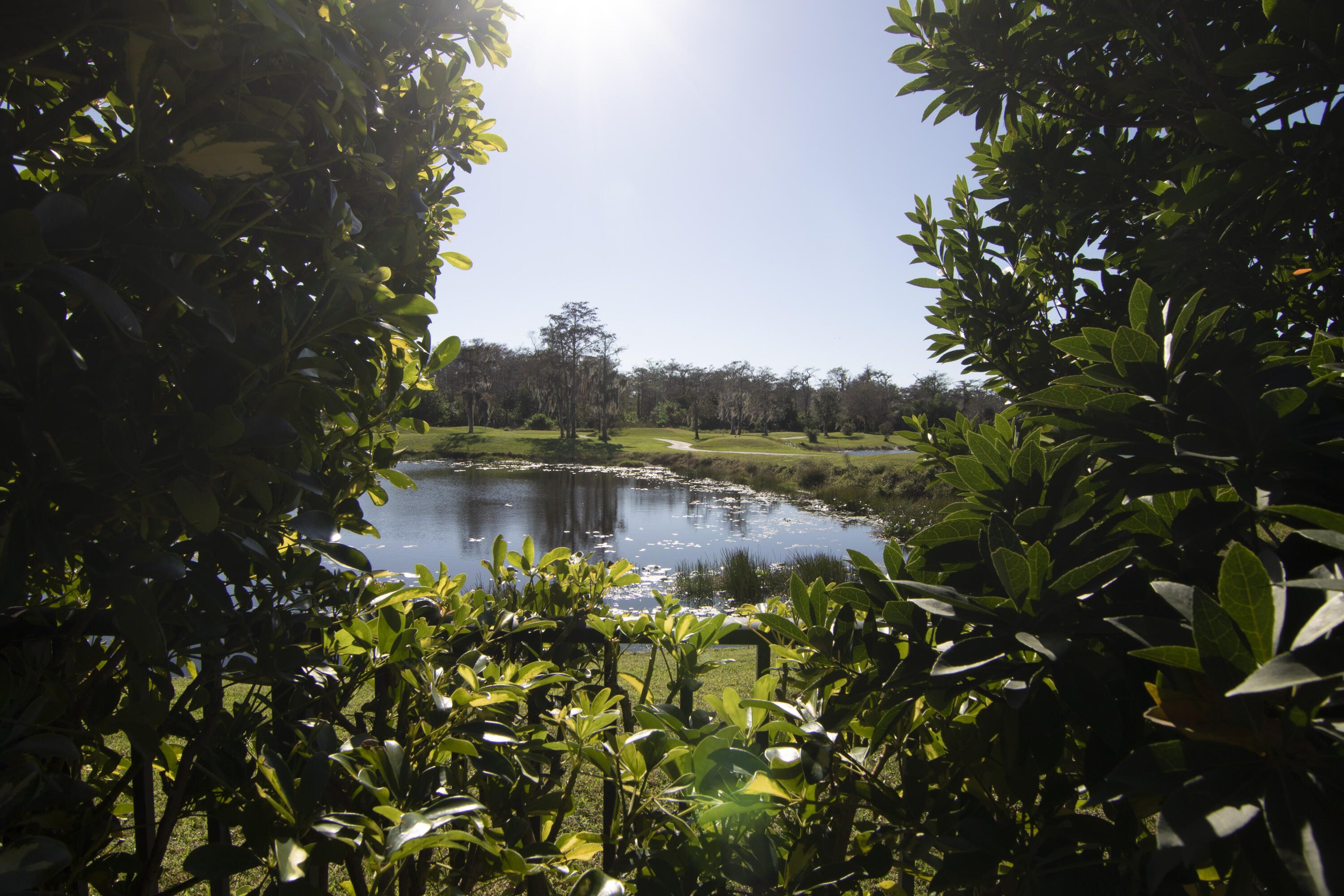 CHUKKER COVE P B POLO & CNTRY CLUB WELL - Residential