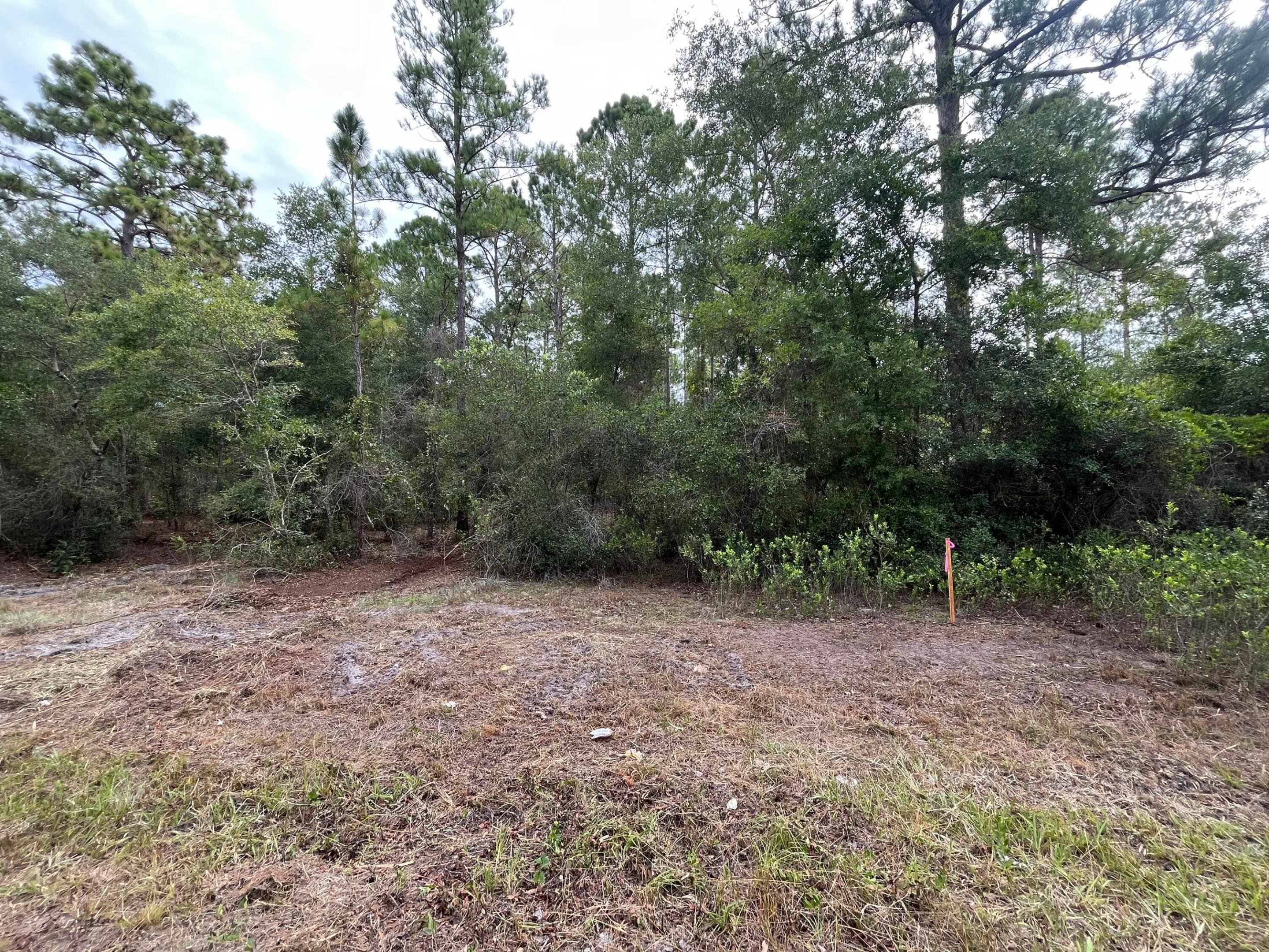 LAKE GEORGE MANOR - Land