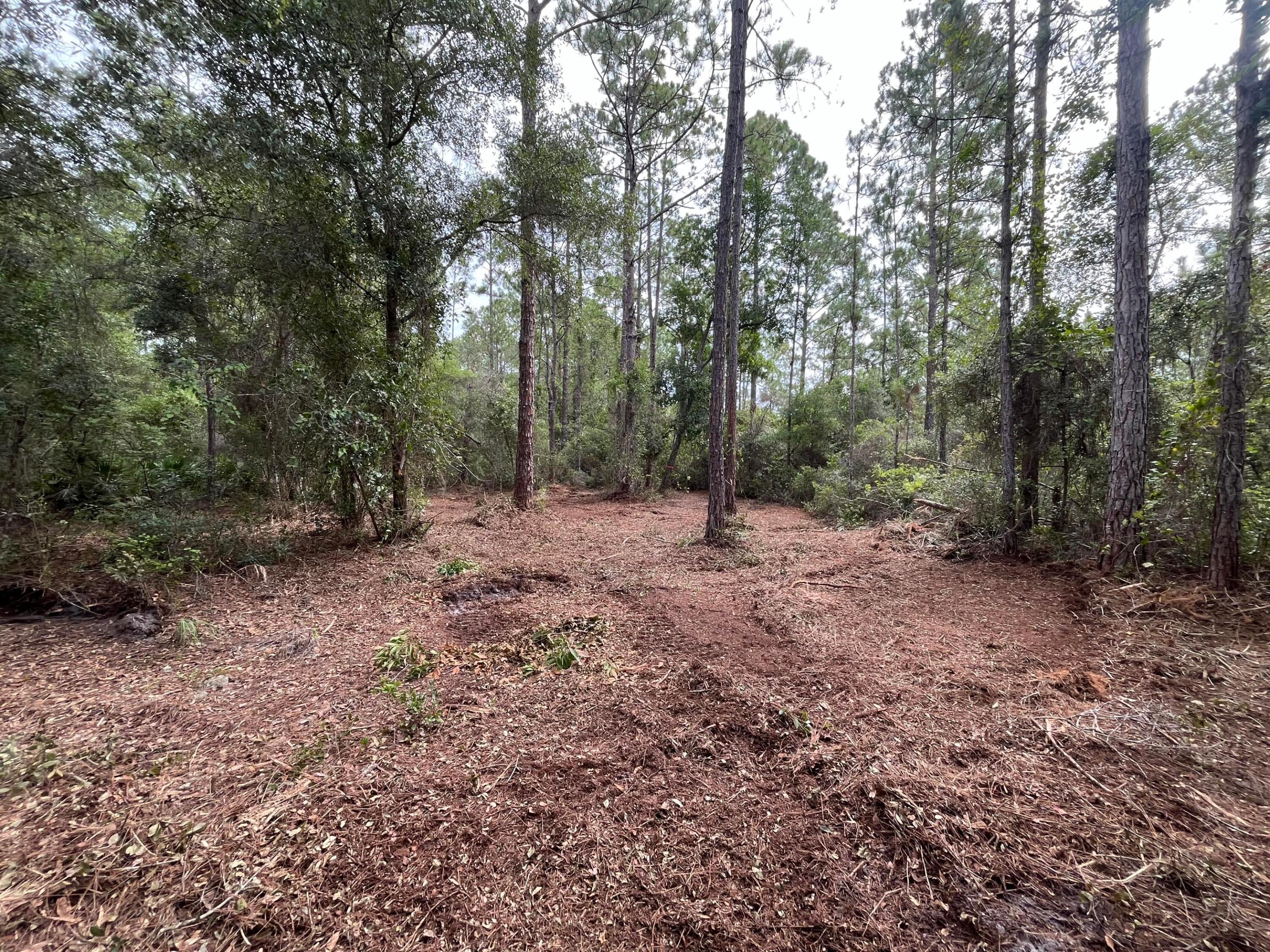 Owner financing available. Discover a great opportunity to build your dream home in the growing city of Georgetown on this high and dry lot set in a peaceful, natural setting. The area offers abundant outdoor activities including boating, fishing, hiking, and camping, and is just a short distance from Lake George. Conveniently located near schools, restaurants, parks, and local amenities. Whether you're planning to build a primary home, a vacation getaway, or hold as a long-term investment, this property offers excellent potential. The adjacent 124 Glenside lot is also available — purchase to own nearly half an acre. Buyer to verify all property details including zoning, utilities, land use, and building requirements. All information deemed reliable but not guaranteed.