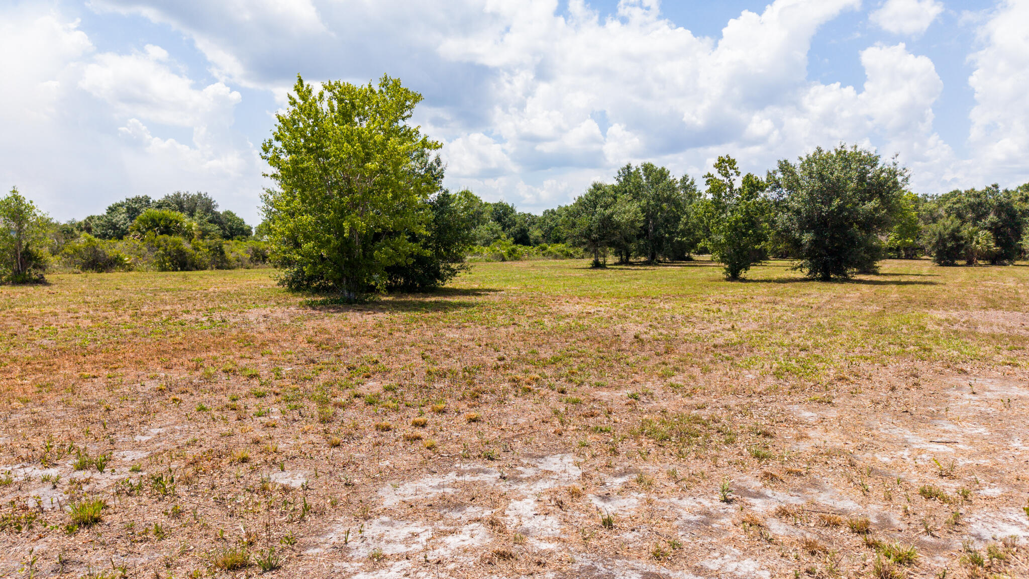 SOUTHERN COLONIZATION - Land