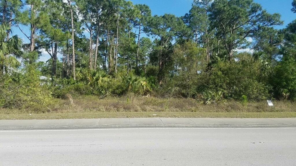 PORT ST LUCIE SECTION 41 - Land