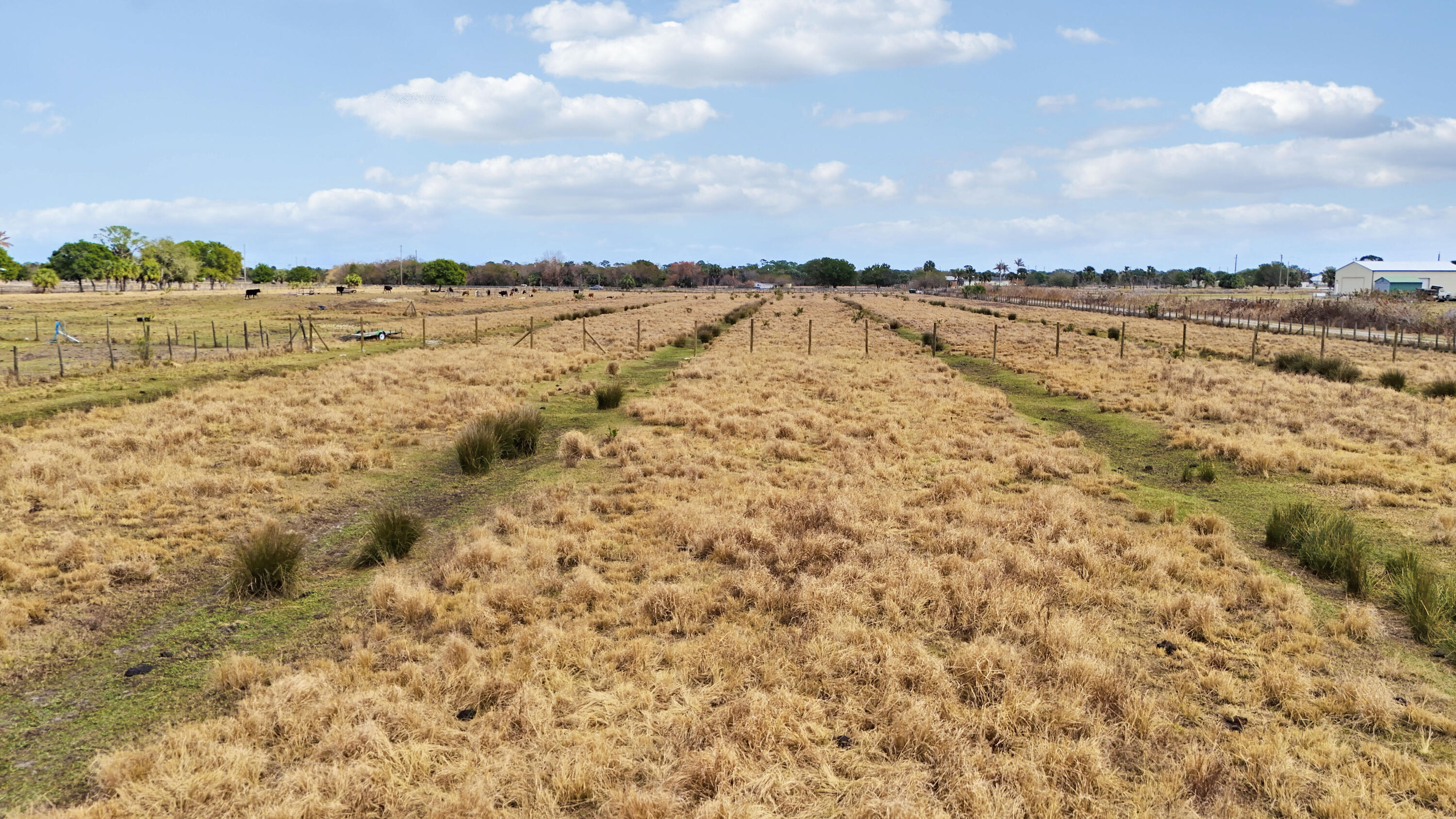 MCNURLEN FARMS SUBDIVISION - Land