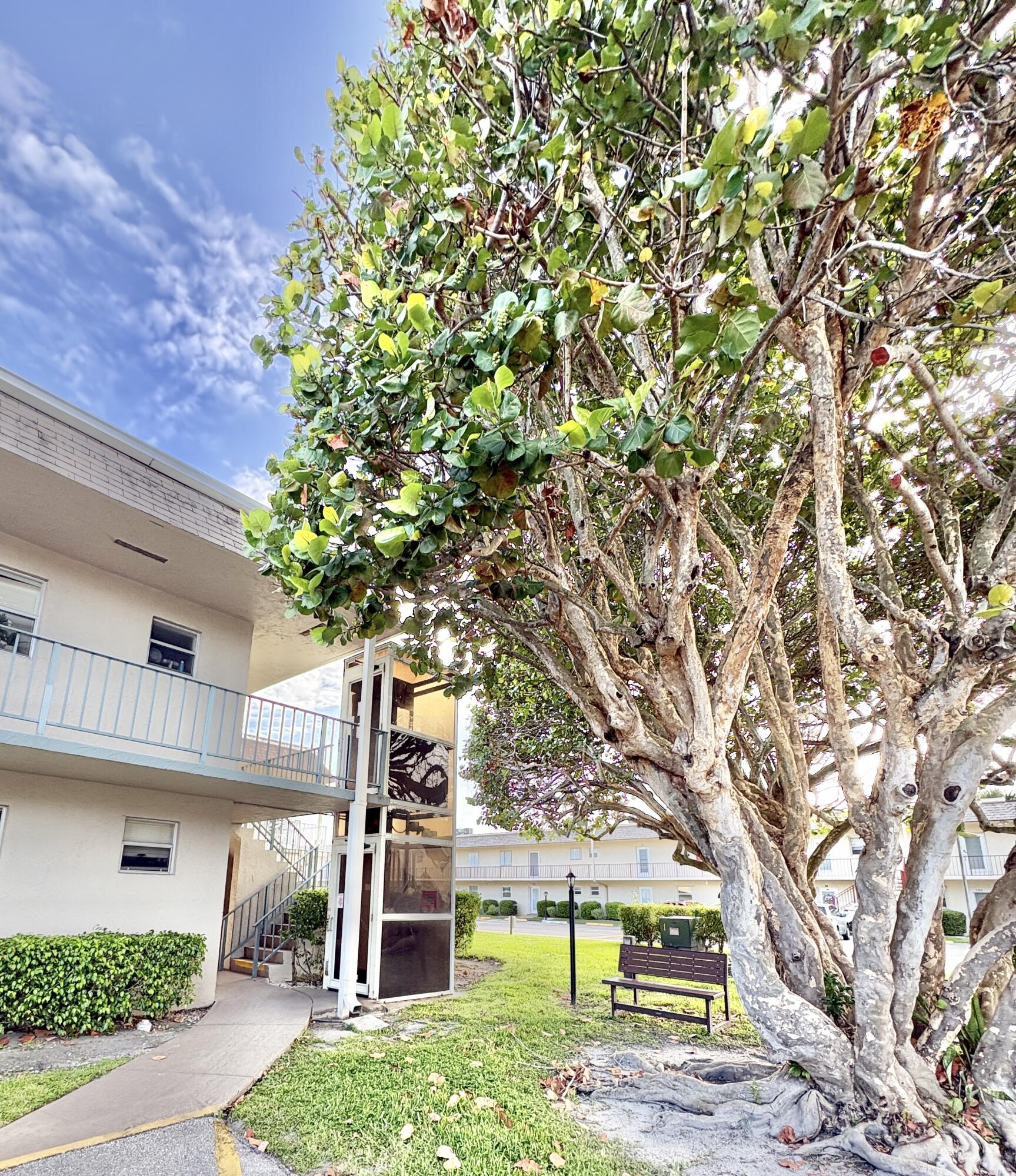 CENTURY VILLAGE / OXFORD CONDO - Residential