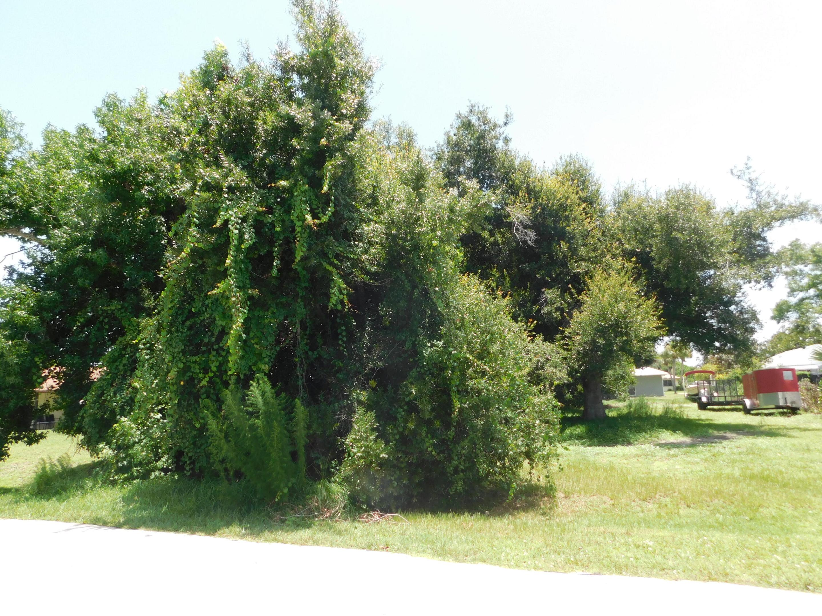 Desirable .26 acre (90 x 125) lot in Holiday Pines subdivision. Lot is cleared on both sides with a strip of trees down the middle. Great to investment or to build your dream home. Close to shopping, Fort Pierce inlet and beaches. Voluntary property owners association