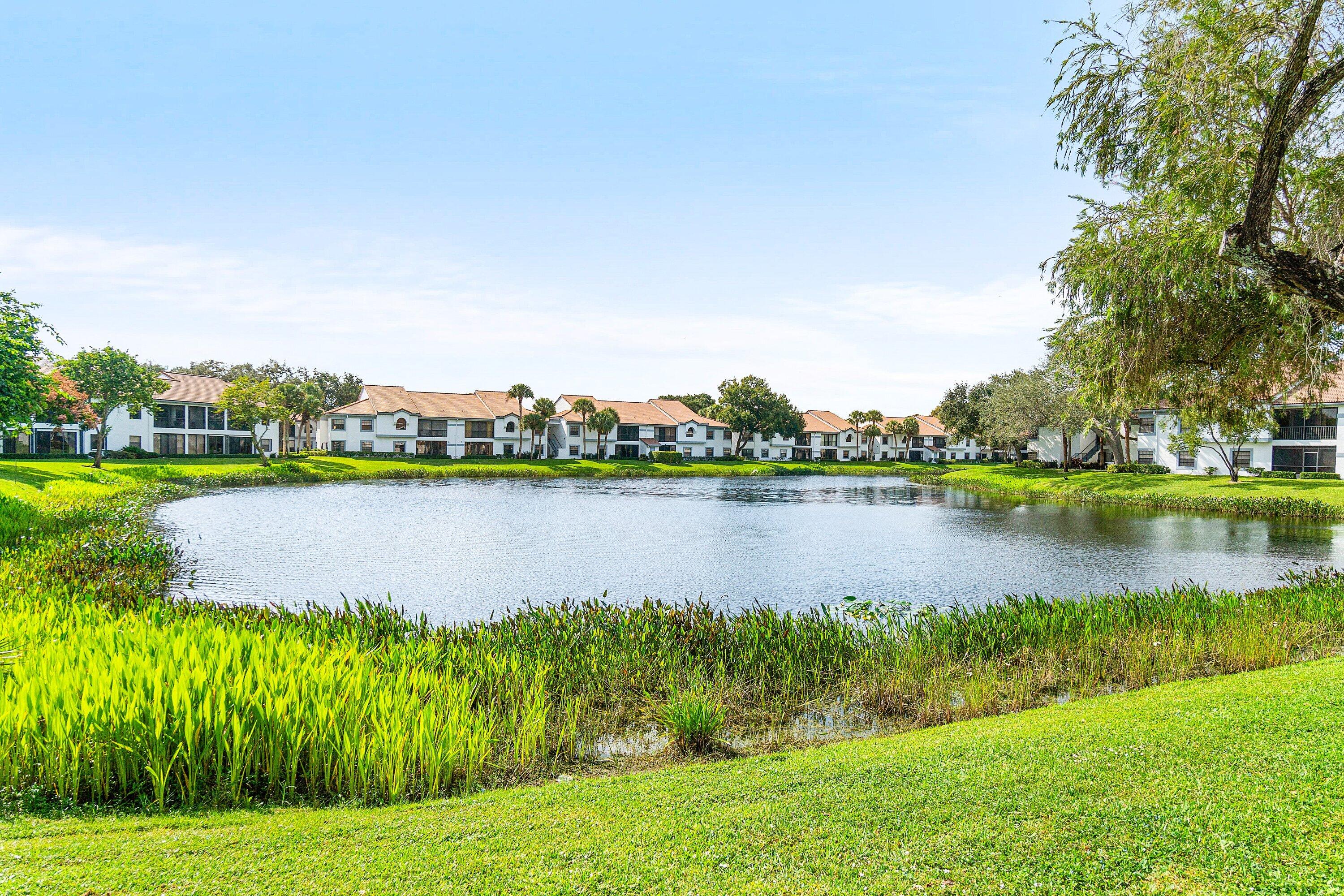 ALEXANDRA VILLAGE CONDO - Residential
