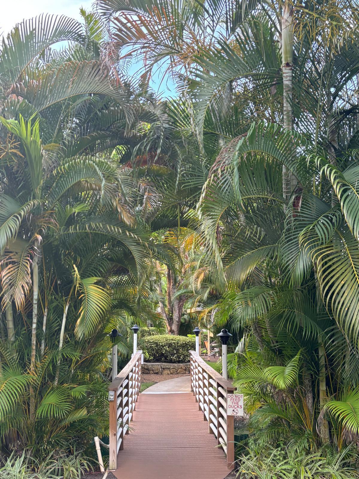 PETUNIA GARDENS CONDO - Residential