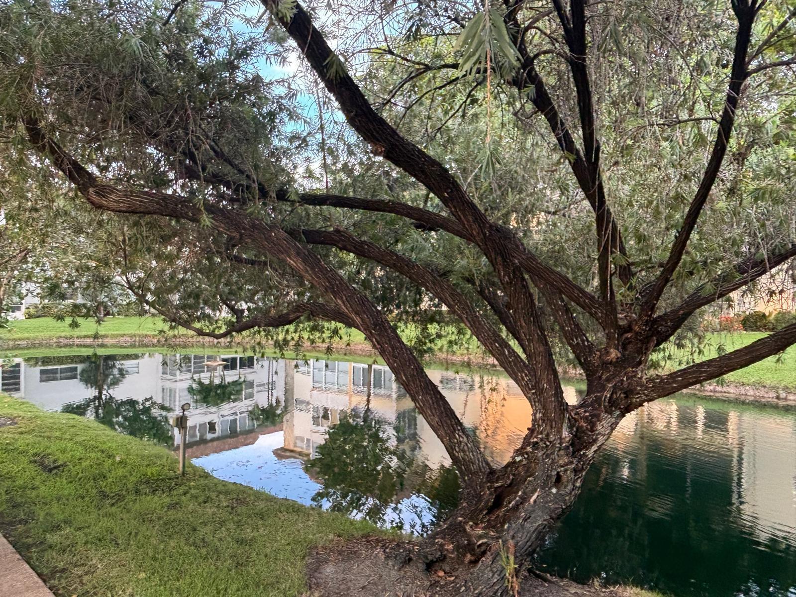 PETUNIA GARDENS CONDO - Residential