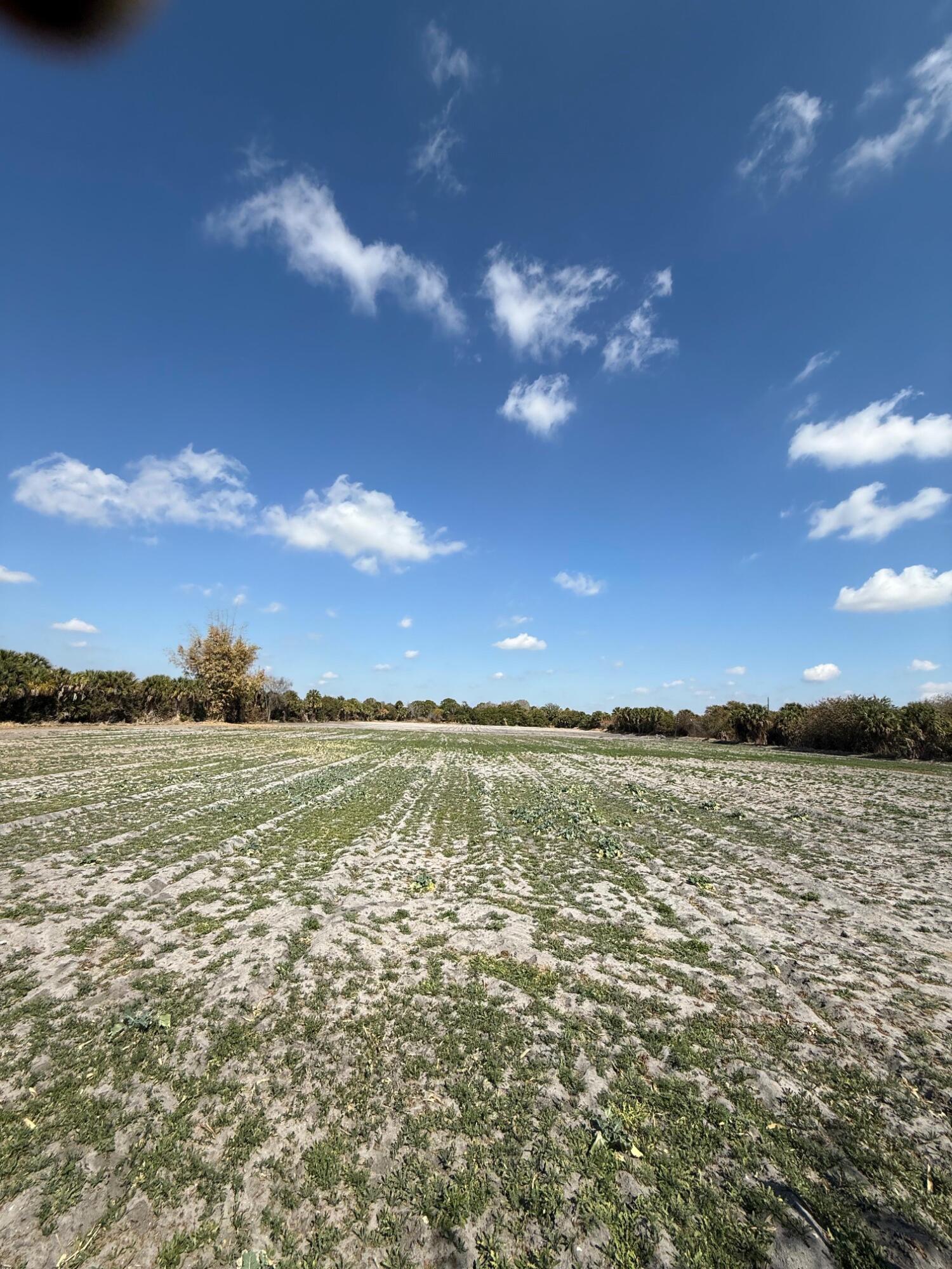 Come see this wonderful 5.8-acre A-2 zoned agricultural located in the Sunrise/Sunset Groves area of Indiantown! 
with irrigation and wells on property. Also power. fully fenced. I great piece of old Florida charm to make your own. Plenty of room for all your agricultural an recreational pursuits. this property is comprised of 5.8 ACRES.
Property borders large surrounding agricultural acreage and is approx. 30-35 minutes to West Palm Beach, PBI Airport, and area beaches.