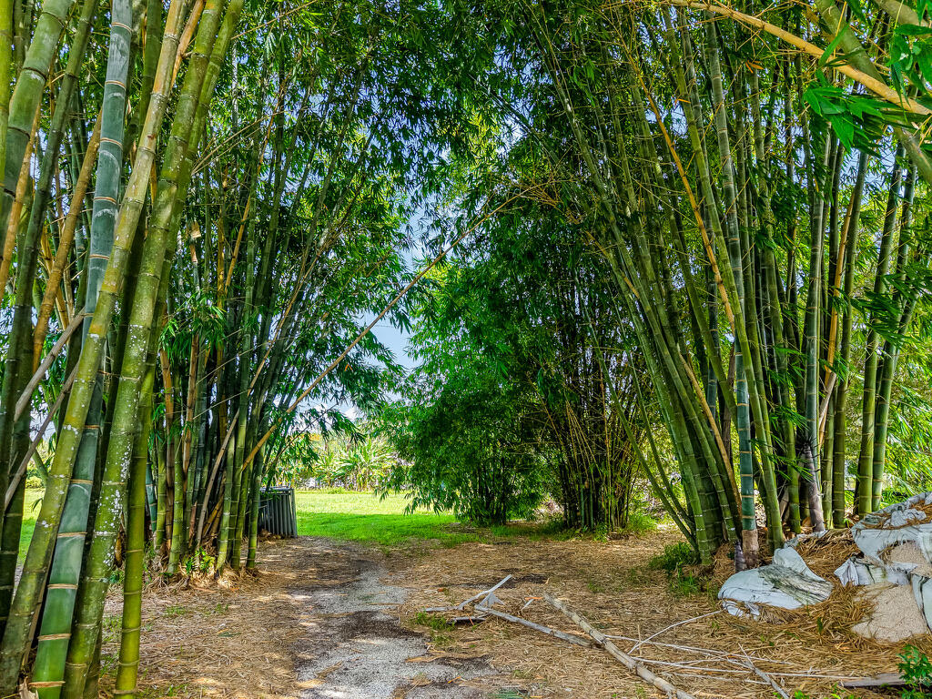 ROLLING OAKS ESTATES REPLAT NO 2 - Land