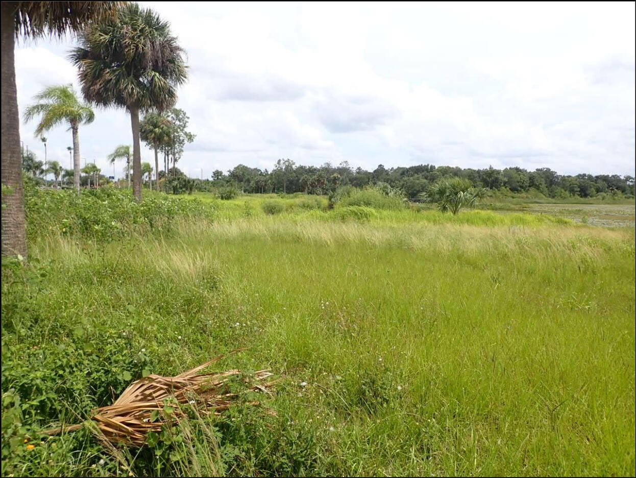 LAKE CECILE ESTATES - Land