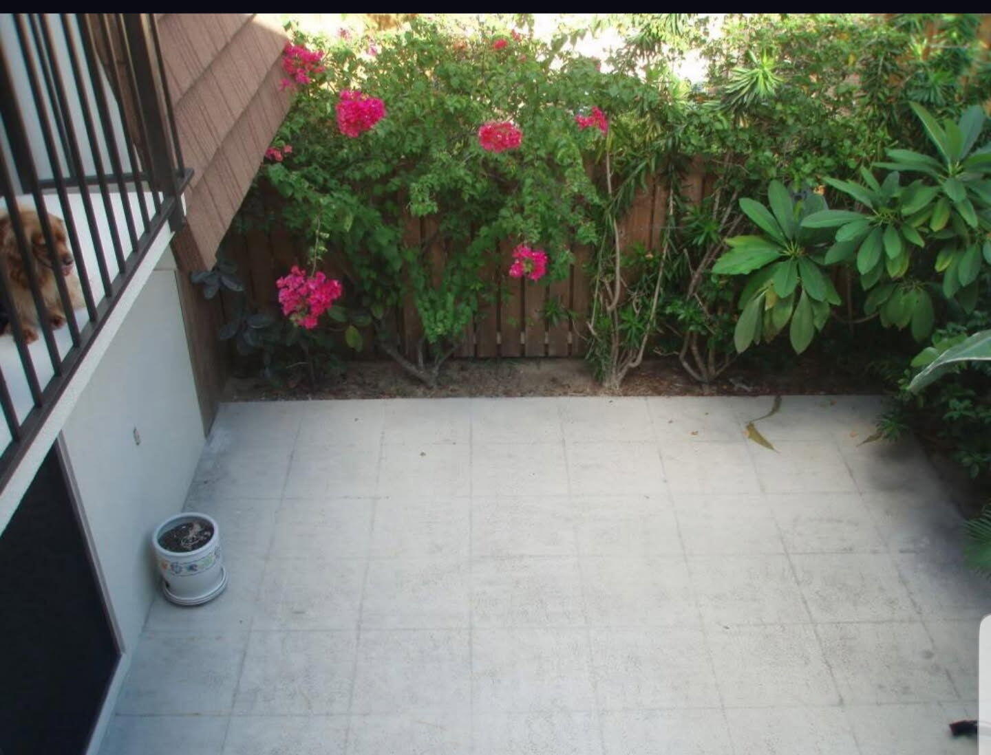 RIVER - Residential Lease