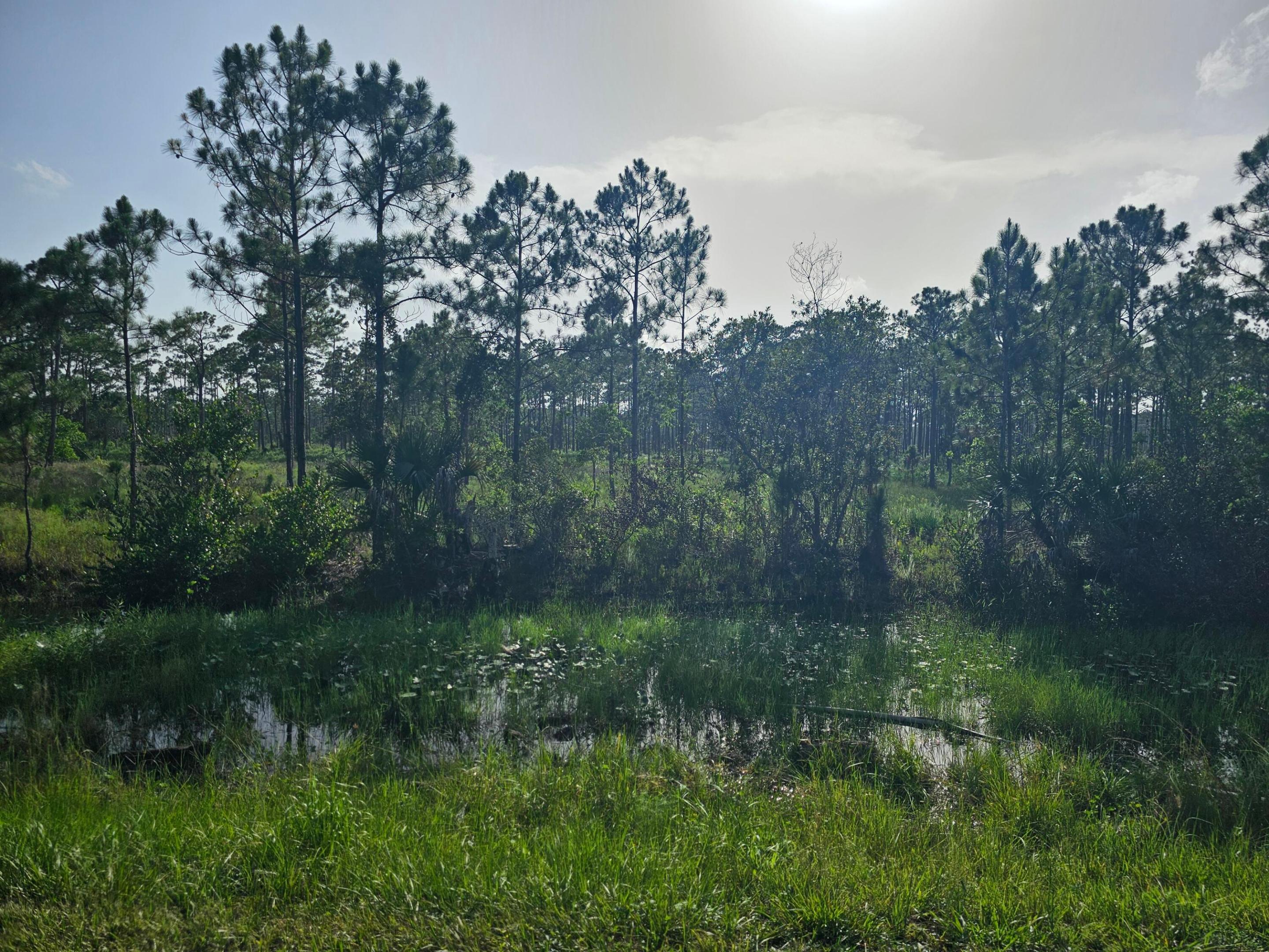 PALM BEACH COUNTRY ESTATES - Residential