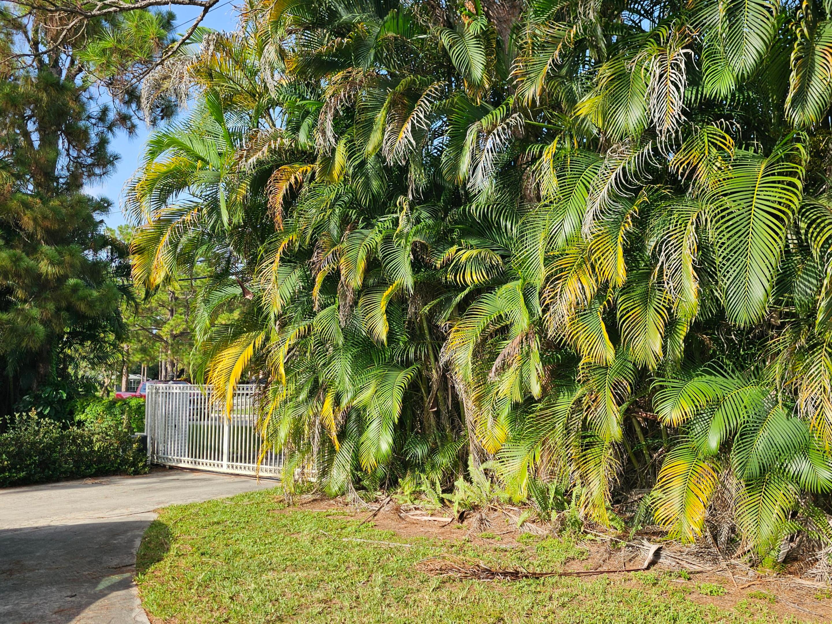 PALM BEACH COUNTRY ESTATES - Residential