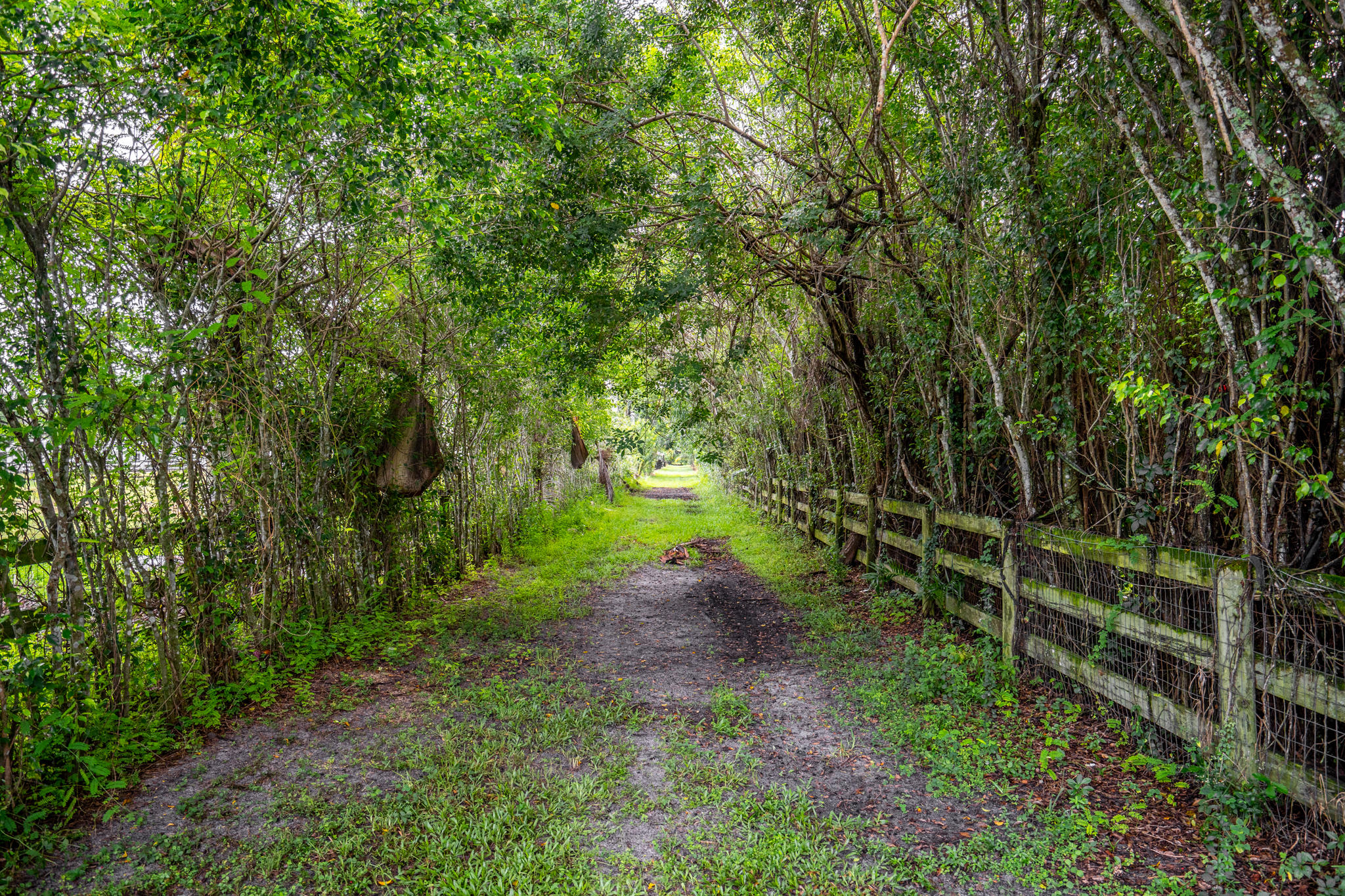 HORSESHOE ACRES - Residential