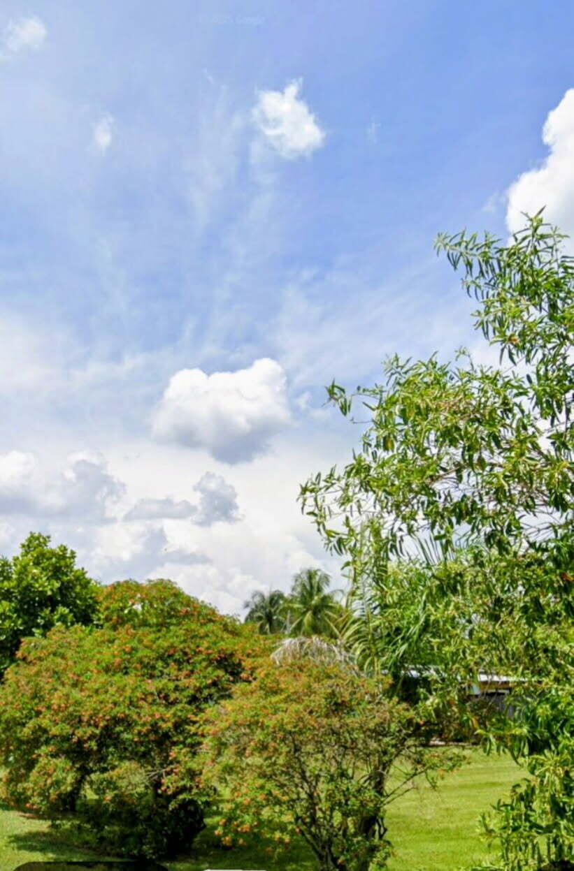 EVERGLADE LAND SALES CO - Land