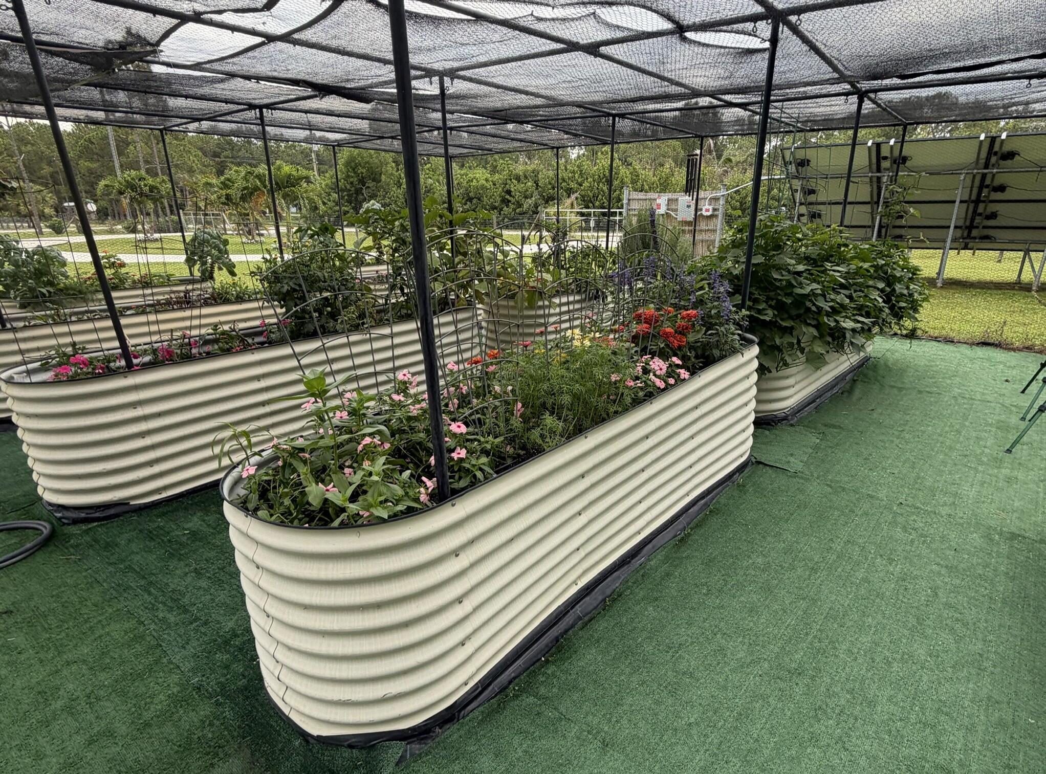Jupiter Farms - Residential