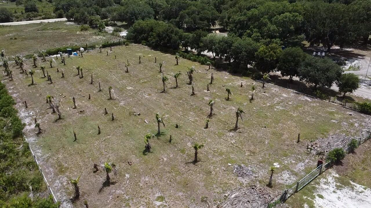 Viking 3/Prairie - Land