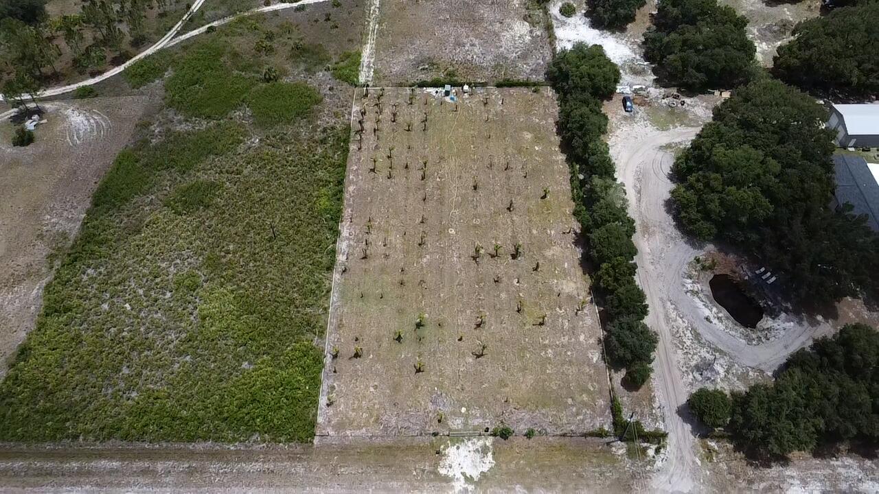 Viking 3/Prairie - Land
