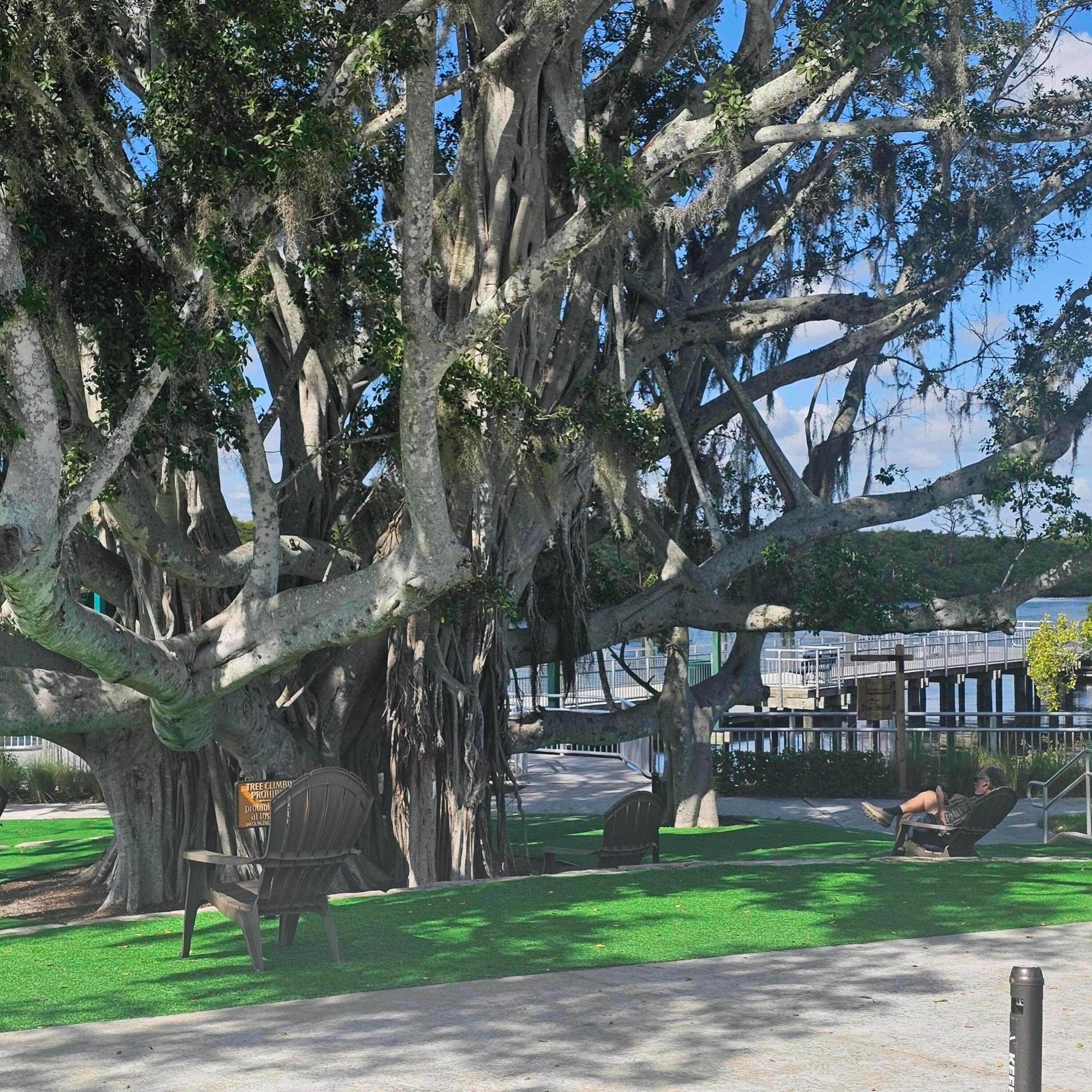 TESORO PRESERVE PLAT NO 5 - Residential
