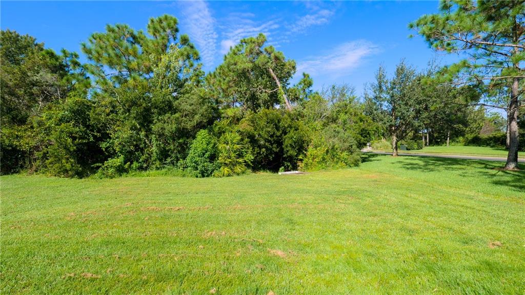 LIVE OAK PRESERVE PHASE 1 - Residential