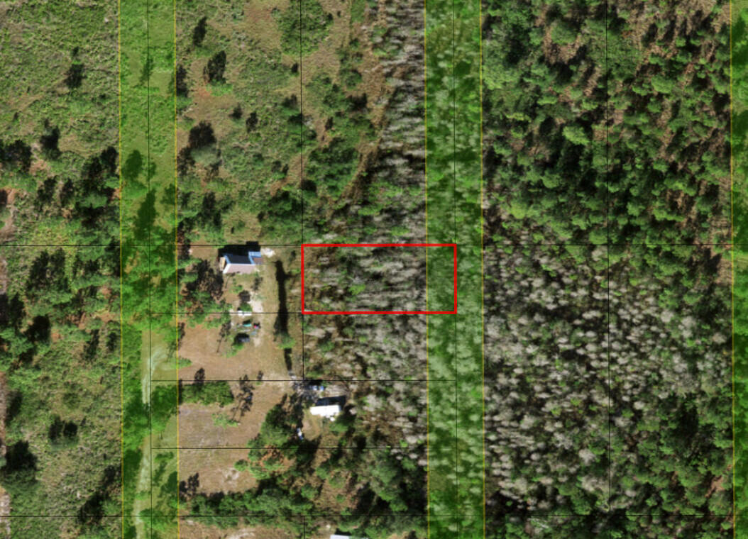 Hunt, ride and camp in Holopaw. Owner financing available
