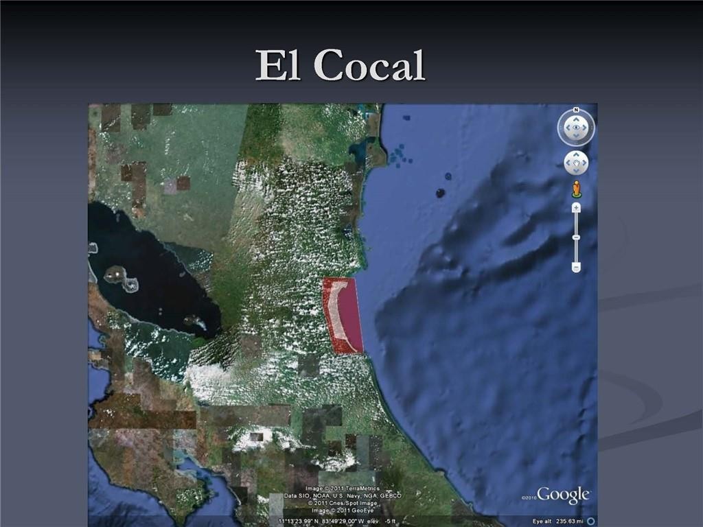 El COCAL • 78,793 Acres (319,000,000 square meters) (32,000 Hectares) of virgin land which is : Six time larger than Bermuda Four times bigger than San Marino Same size Isle of Malta, or Saint Kitts and Nevis, or Seychelles or Maldives. • 60 kilometers (33 miles) of Beaches on the Atlantic/Caribbean Coast of Nicaragua, border lining Costa Rica. • 7 major pristine rivers • Best Eco System and Bio-Diversity in the World • The famous San Juan River which connects the Nicaragua Lake (The only freshwater lake with sharks in the world) ends at El Cocal where it meets the Atlantic/Caribbean Ocean • Next to Greytown, old British Empire settlement and made famous by Almirante Nelson
