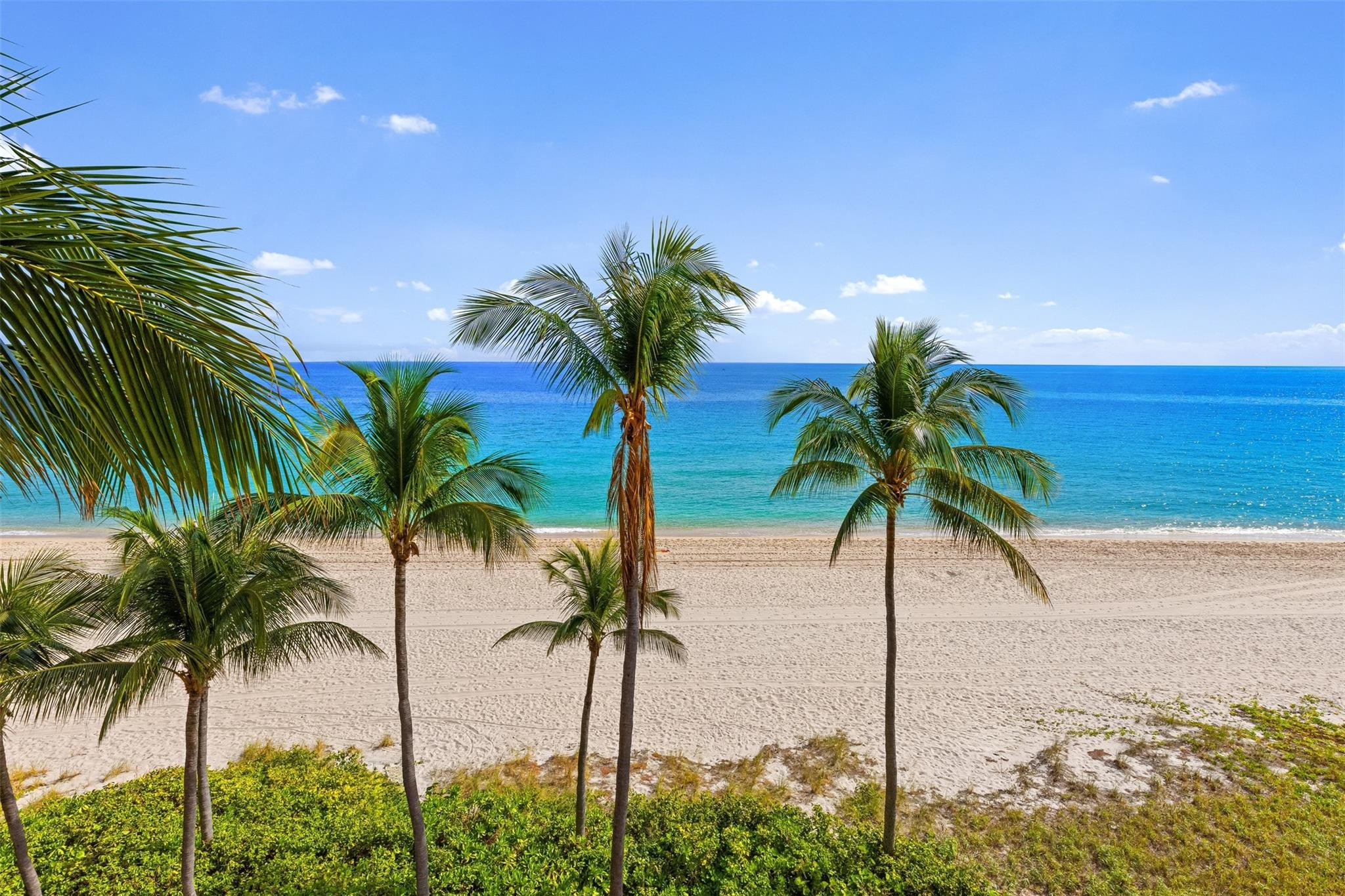 The Palms - Residential