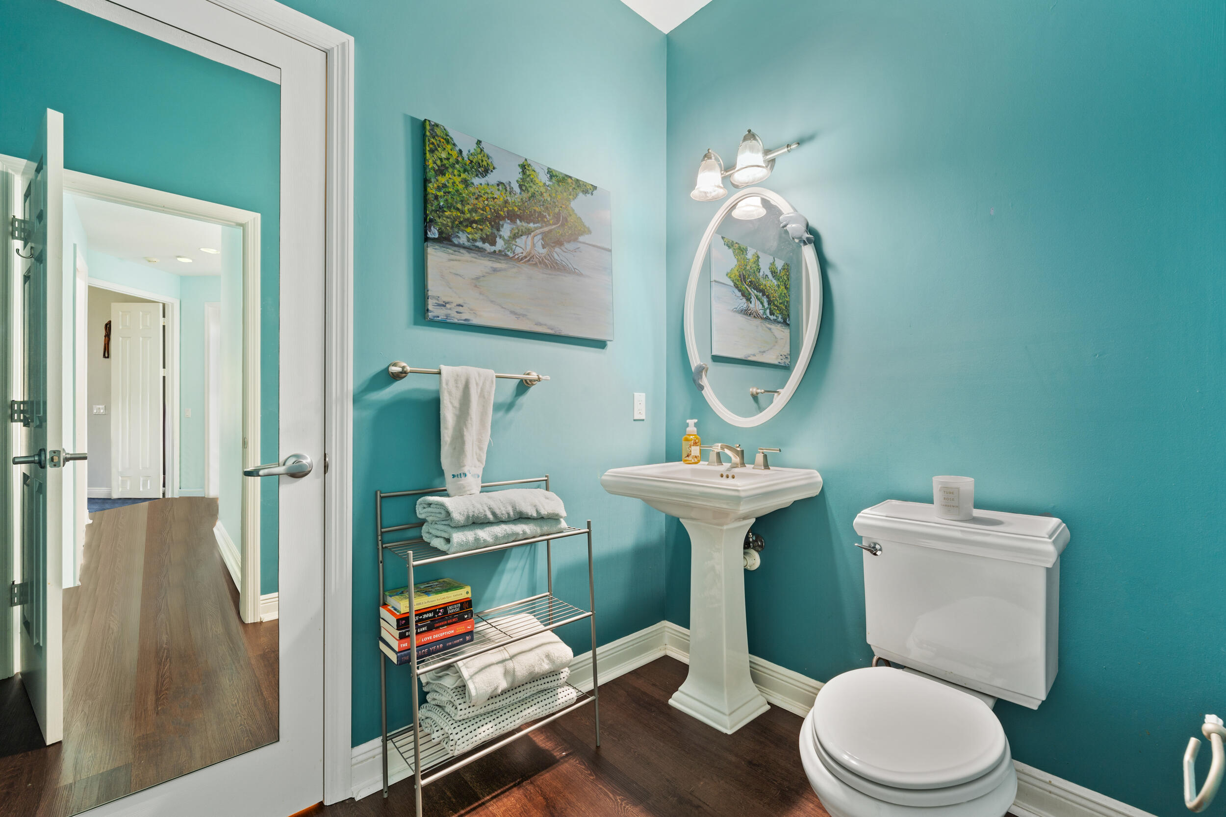 REPLAT OF SAN SEBASTIAN SPRINGS SUBDIVISION - Residential