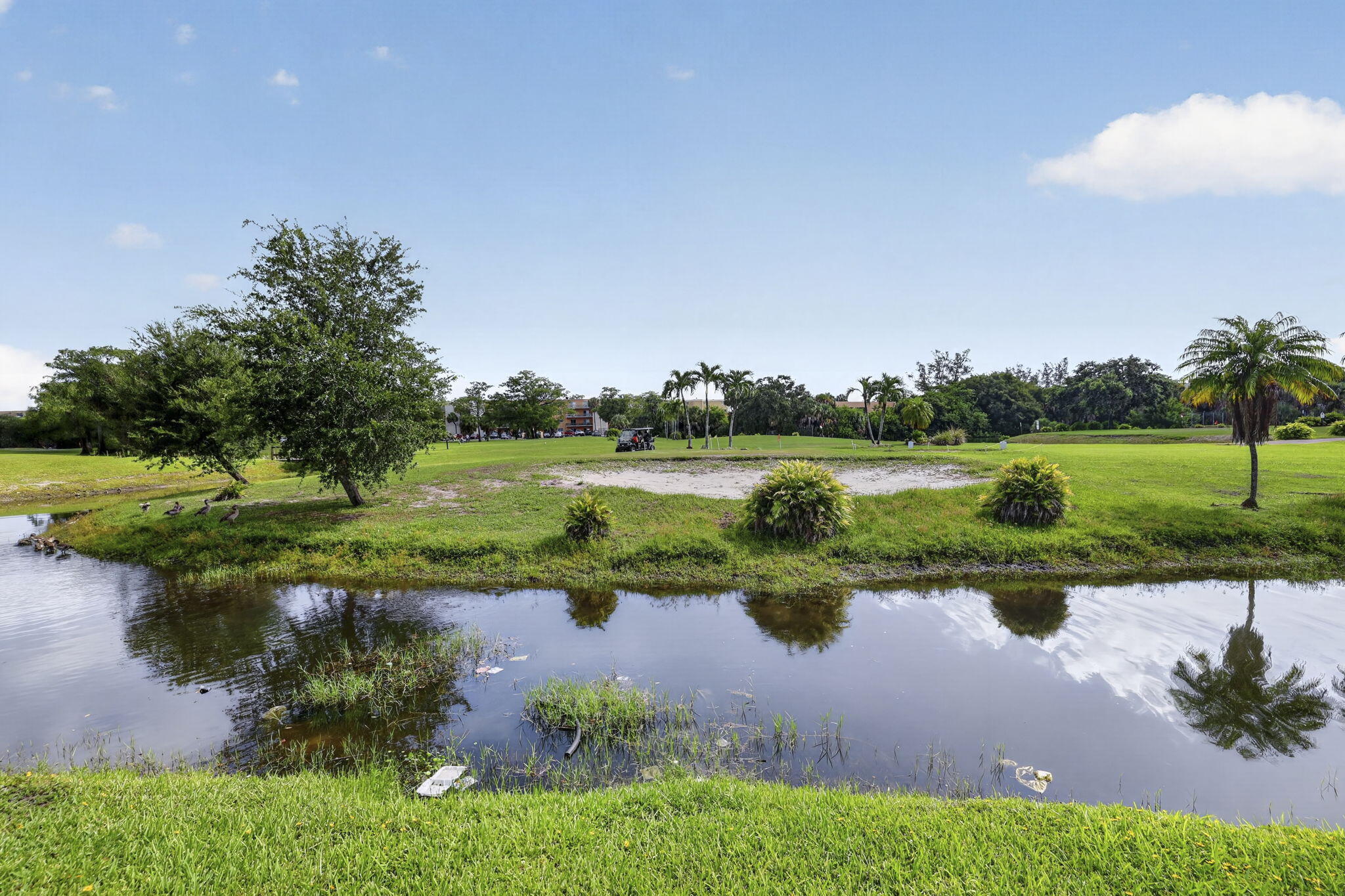ASHLEY HALL CONDO - Residential