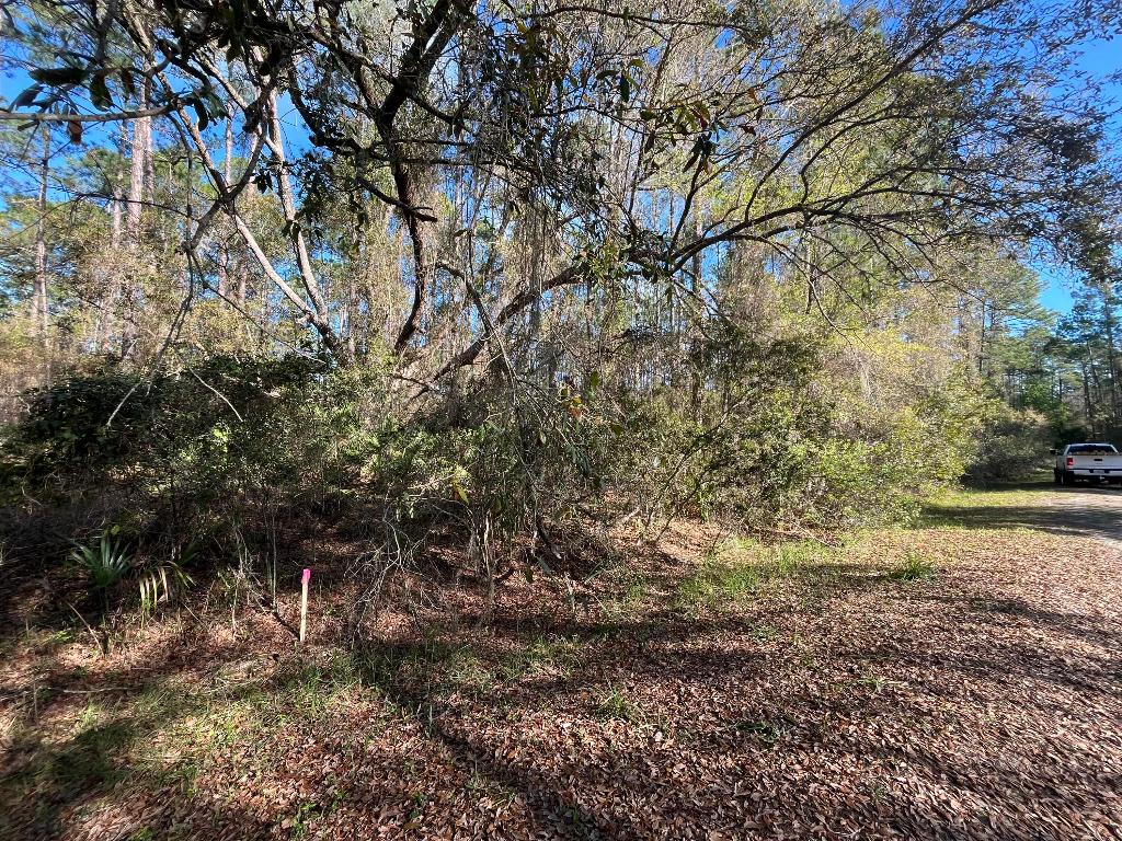 Owner Finance available! Discover the best of country living with this beautiful 0.23-acre wooded lot in Georgetown! This property is the perfect setting for your dream home, whether you choose to build or bring in a mobile home. Enjoy easy access to the St. Johns River Rod & Reel Club, a boat ramp, and a fishing pier on Lake George. Spend your days boating and fishing on the river and lake, or take a refreshing swim in the stunning Salt Springs Silver Glen Spring. Owner financing is available for this property. Come see it today! Buyer to verify all property details including zoning, utilities, land use, and building requirements. All information deemed reliable but not guaranteed.